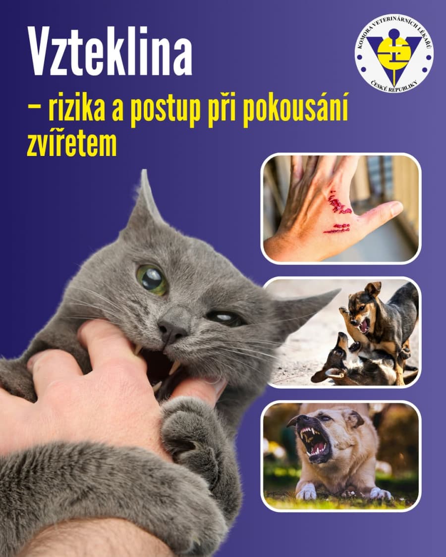 2026-09-29-vzteklina.jpg